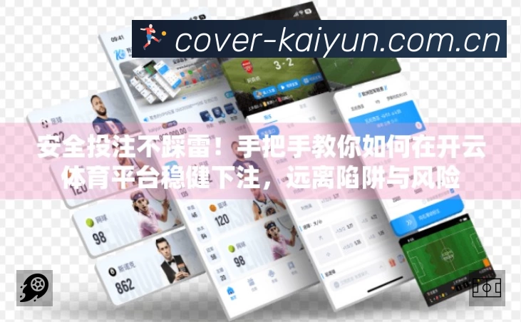 安全使用与支持流程